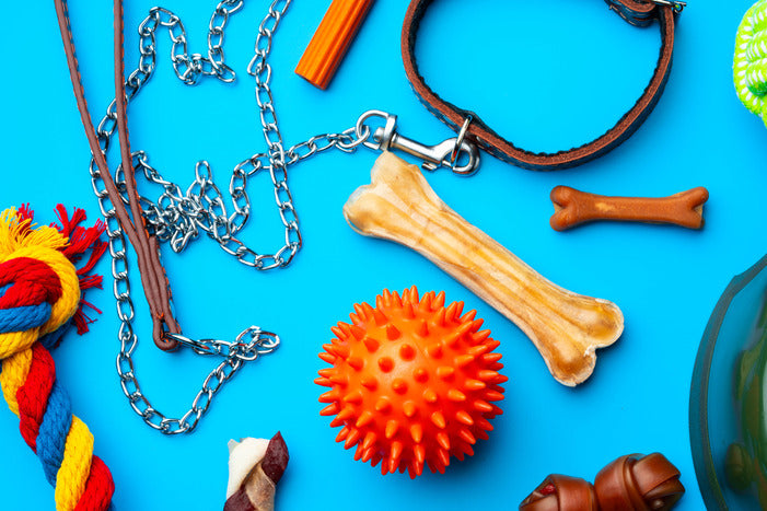 7 Must-have accessories for large dogs