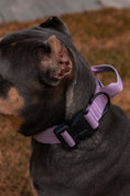 Load image into Gallery viewer, 1.5" Tacti Lite Dog Collar - Sofia (no handle)