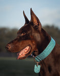 Load image into Gallery viewer, 2" Leather Dog Collar - Lago Azzurro