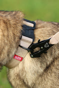 Load image into Gallery viewer, 1.5" Tacti Lite Dog Collar - Buttercream (no handle)
