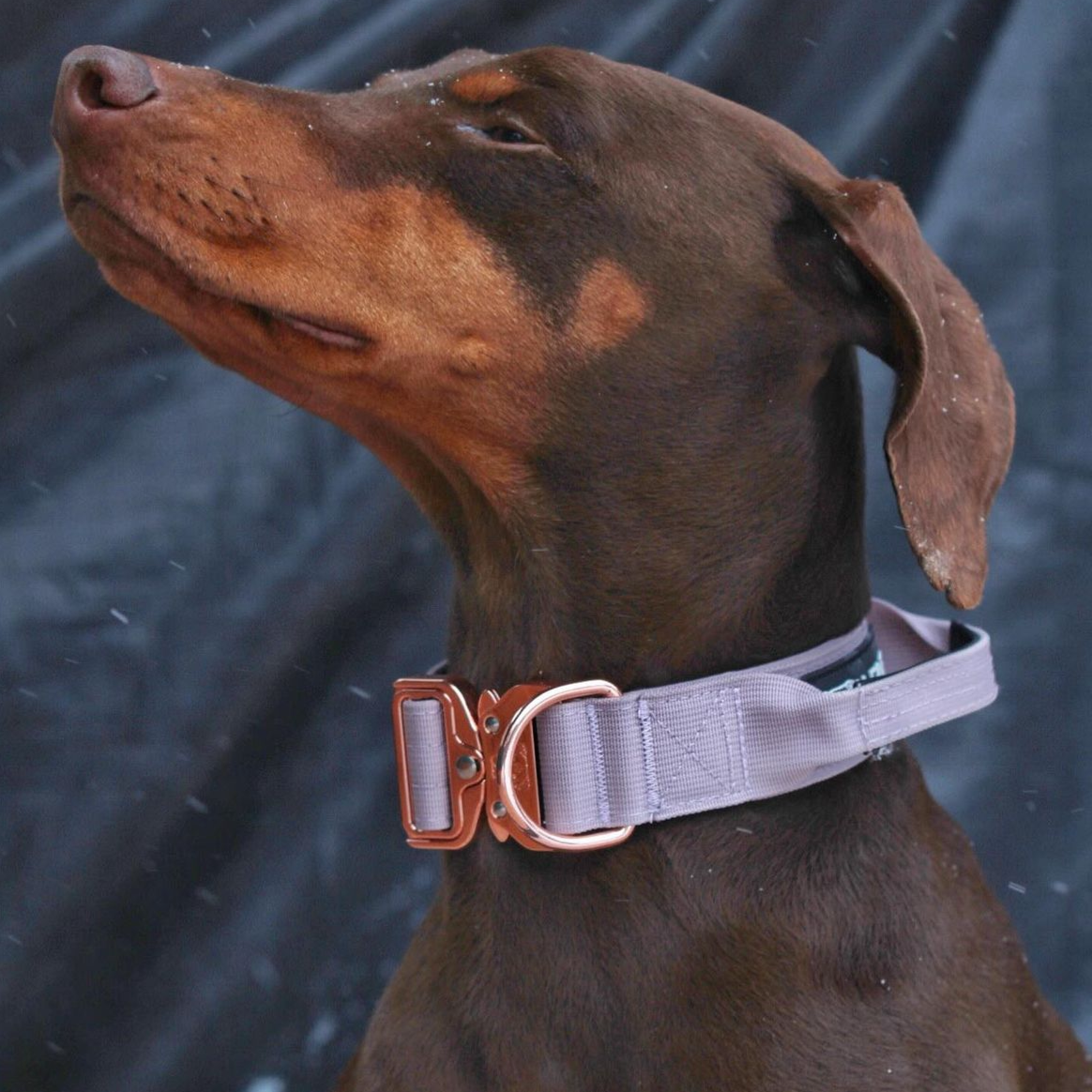 1.5" Tacti Dog Collar Slim Luxe - Rose Gold - Sofia