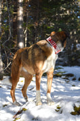 Load image into Gallery viewer, 2" Tacti Luxe Dog Collar - Canadian