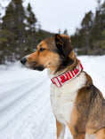 Load image into Gallery viewer, 2" Tacti Luxe Dog Collar - Canadian