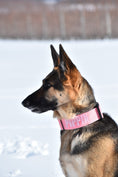 Load image into Gallery viewer, 2" Tactik Dog Collar - Bubblegum