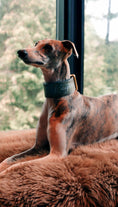 Load image into Gallery viewer, 2" Leather Dog Collar - Pietra D'Argento