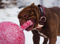 Load image into Gallery viewer, 1.5" Tacti Dog Collar Slim Luxe - Rose Gold - Chocolate