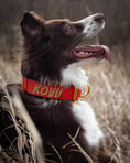 Load image into Gallery viewer, 1.5" Tacti Dog Collar Slim Luxe - Gold - Cognac