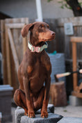 Load image into Gallery viewer, 1.5" Tacti Dog Collar Slim Luxe - Rose Gold - Honeydew