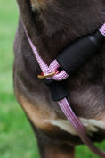 Load image into Gallery viewer, Dog Slip Lead - Sofia