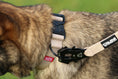 Load image into Gallery viewer, 1.5" Tacti Lite Dog Collar - Buttercream (no handle)