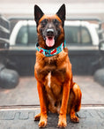 Load image into Gallery viewer, 2" Tacti Luxe Dog Collar - Superhero