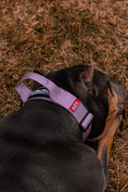 Load image into Gallery viewer, 1.5" Tacti Lite Dog Collar - Sofia (no handle)