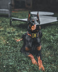 Load image into Gallery viewer, 2" Tacti Luxe Dog Collar - Gold Camo