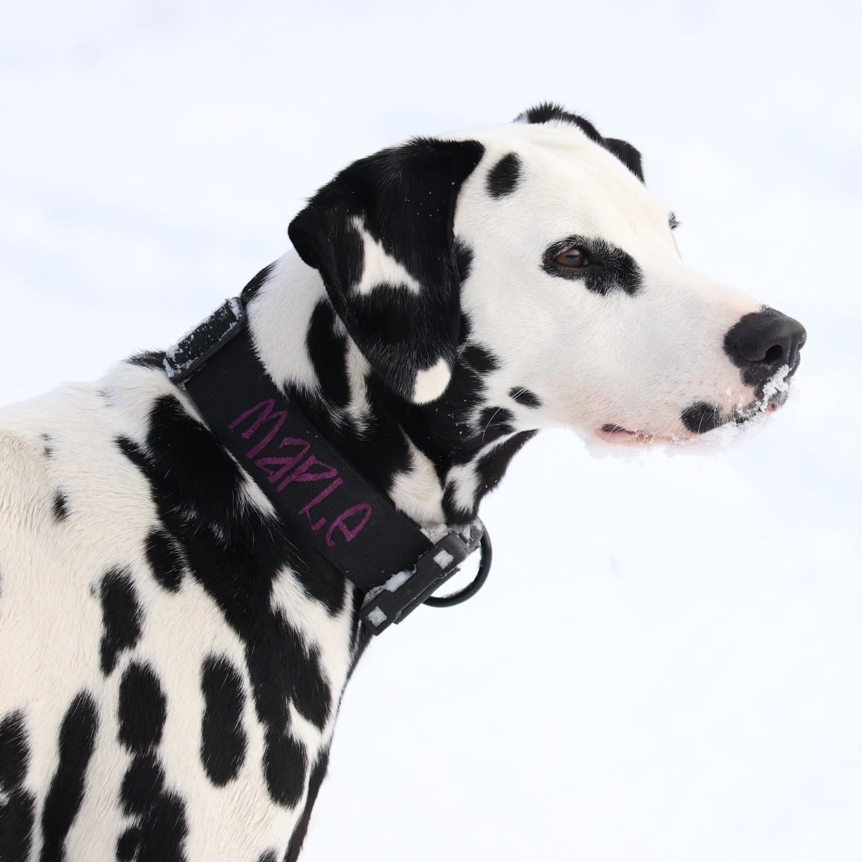 1.5" Tacti Lite - Black (no handle)