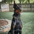 Load image into Gallery viewer, 2" Tacti Luxe Dog Collar - Gold Noir