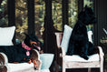 Load image into Gallery viewer, 2" Leather Dog Collar - Nero Milano