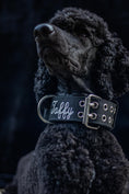 Load image into Gallery viewer, Expedition Dog Collar - Black