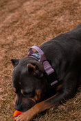 Load image into Gallery viewer, 1.5" Tacti Lite Dog Collar - Sofia (no handle)