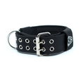 Load image into Gallery viewer, Expedition Dog Collar - Black