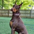 Load image into Gallery viewer, 2" Tacti Luxe Dog Collar - Rose Gold - Chocolate