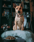 Load image into Gallery viewer, 1.5" Tacti Dog Collar Slim Luxe - Rose Gold - Honeydew
