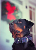 Load image into Gallery viewer, 2" Tactik Dog Collar - Sweater Weather