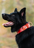 Load image into Gallery viewer, 2" Tacti Luxe Dog Collar - Sriracha Dragon (Limited Edition)