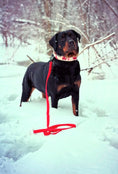Load image into Gallery viewer, 2" Tacti Luxe Dog Collar - Canadian