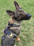 Load image into Gallery viewer, Terrain Dog Airtag Harness - Camo