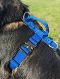 Load image into Gallery viewer, Terrain Dog Airtag Harness - Cobalt