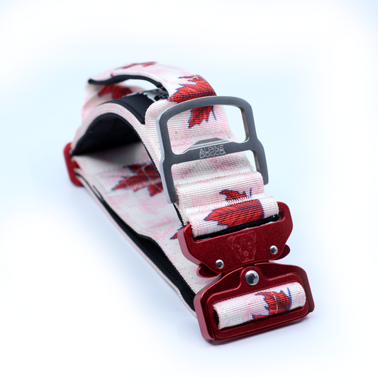 2" Tacti Luxe Dog Collar - Canadian