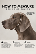 Load image into Gallery viewer, Biothane Slip Collar - Bright Teal