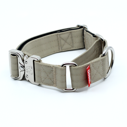 1.5" Luxe Martingale Dog Collar - Beach