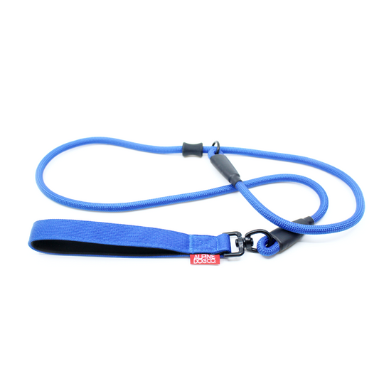 Dog Slip Lead - Cobalt