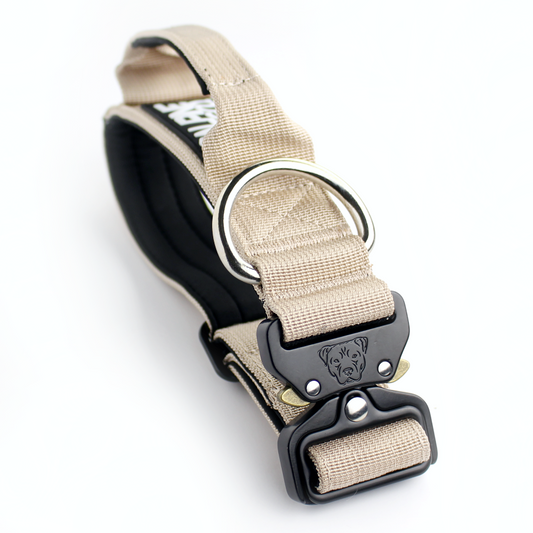 1.5" Tacti Slim Dog Collar- Buttercream