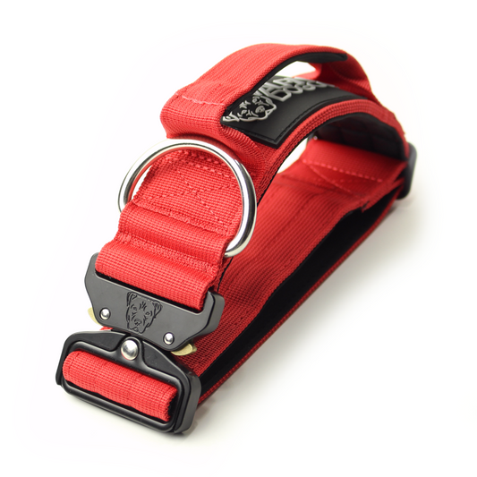 2" Tactik Dog Collar - Apple