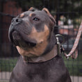 Load image into Gallery viewer, Tacti Luxe Dog Leash - White Gold - Desert Camo