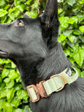 Load image into Gallery viewer, 1.5" Tacti Dog Collar Slim Luxe - Rose Gold - Honeydew