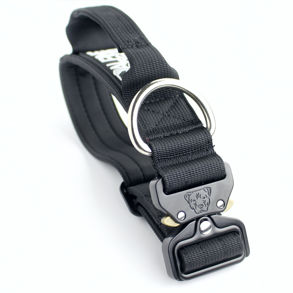 Black dog online collar and lead