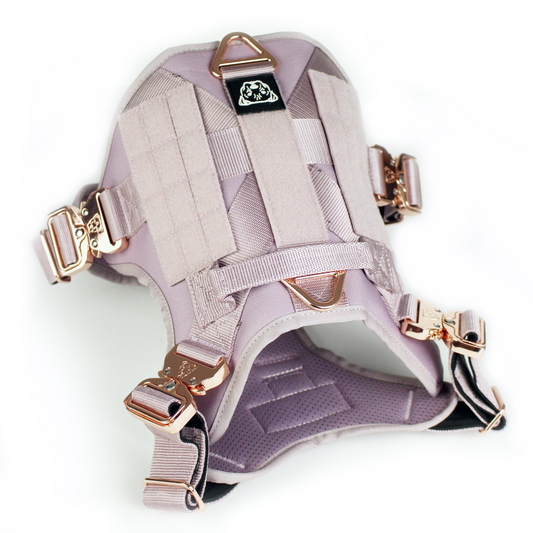 HNTR 3.0 Dog Harness - Sofia
