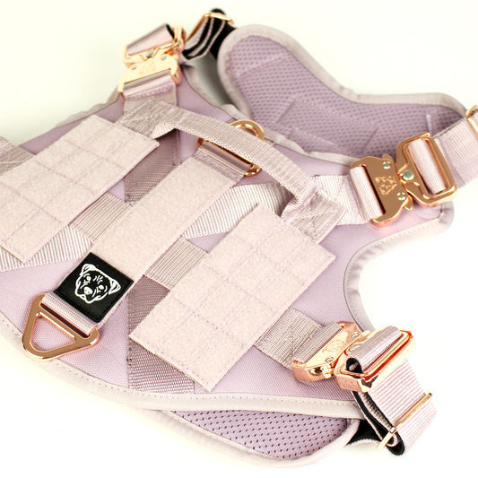 HNTR 3.0 Dog Harness - Sofia