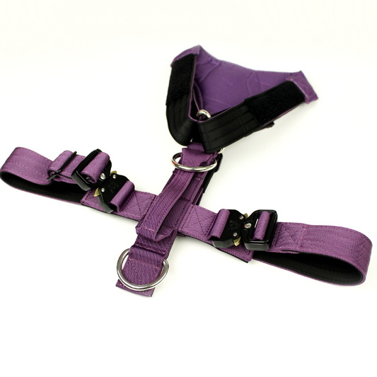 Terrain Dog Airtag Harness - Grape