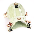 Load image into Gallery viewer, HNTR 3.0 Dog Harness - Honeydew