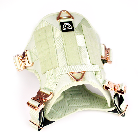 HNTR 3.0 Dog Harness - Honeydew