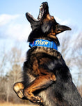 Load image into Gallery viewer, 2" Tactik Dog Collar - Cobalt