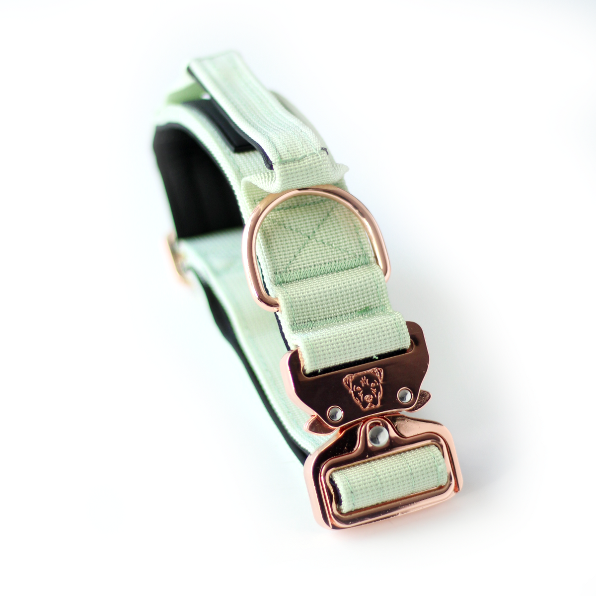 Rose gold hot sale dog collar hardware