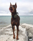 Load image into Gallery viewer, 2" Tactik Dog Collar - Olive