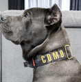Load image into Gallery viewer, 2" Tacti Luxe Dog Collar - Gold Camo