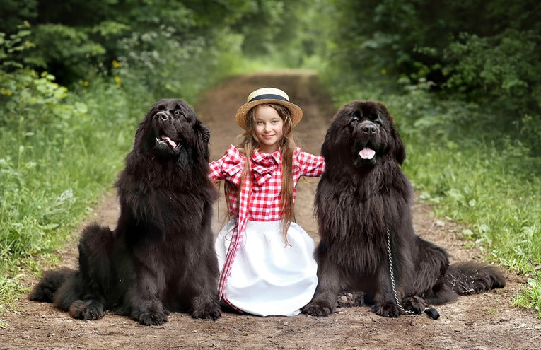 Young girl sitting on a forest path between two large black dogs