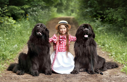 Young girl sitting on a forest path between two large black dogs